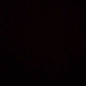 Meet your Posher, Gloria